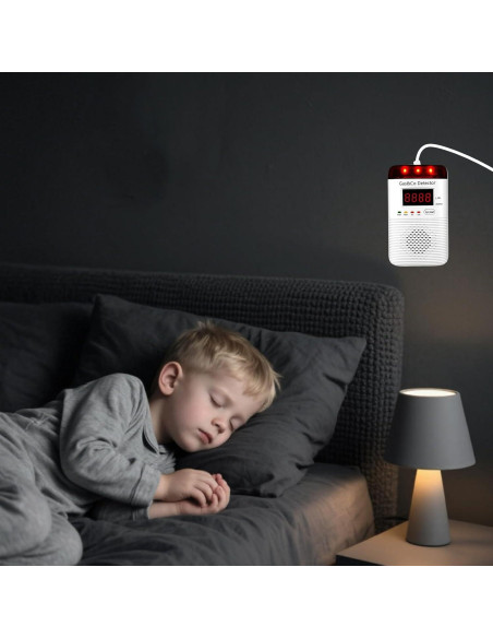 Detector de Gas y Monóxido de Carbono DOUSHIQIAN 2 en 1