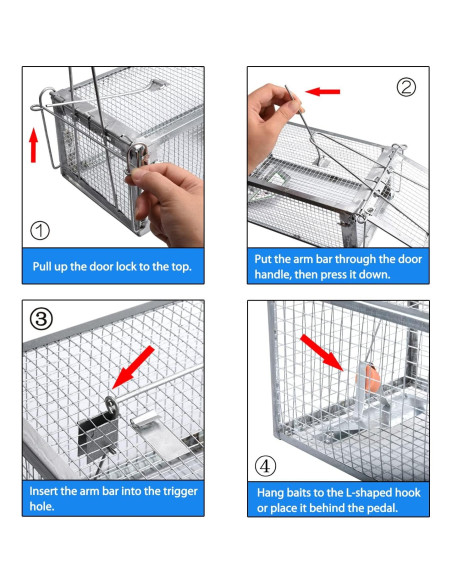 Trampas Humanas para Ardillas Gingbau 2 Unidades 26.7x14x11.4 cm