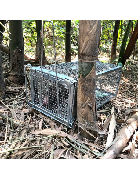 Trampas Humanas para Ardillas Gingbau 2 Unidades 26.7x14x11.4 cm