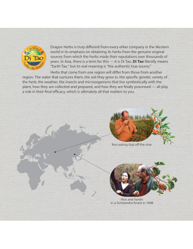 Gotas de Baya de Goji y Schizandra Dragon Herbs 60 mL