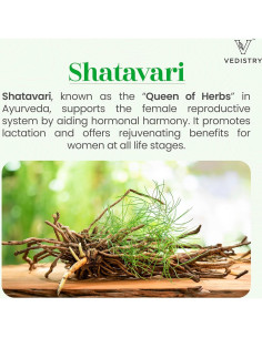 Tabletas de Shatavari Vedistry 1100mg - Salud Uterina y Lactancia - 60 Veganas 2