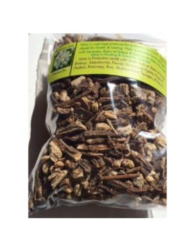 Raíz de Angélica Orgánica 28 g - Seca - Bolsa Etiquetada