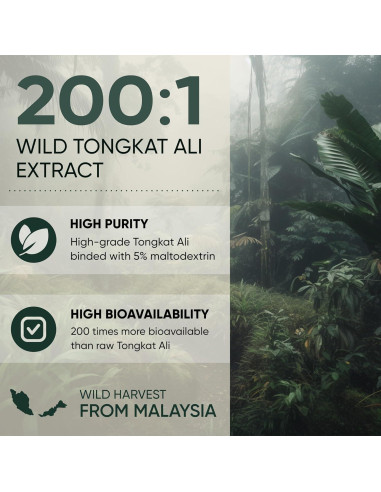 Tongkat Ali en Polvo Eurycoma Longifolia 142g - 200:1 Extracto