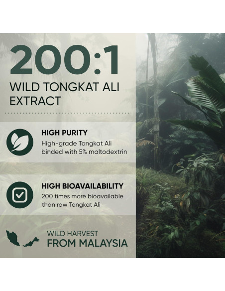 Tongkat Ali en Polvo Eurycoma Longifolia 142g - 200:1 Extracto