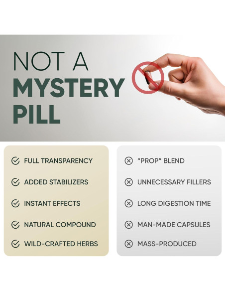 Tongkat Ali en Polvo Eurycoma Longifolia 142g - 200:1 Extracto