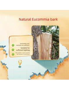 Corteza de Eucommia Natural Pura 120g - Medicina Herbal China 2