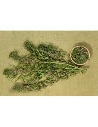 Té Herbal Madrewort Health Embassy 100g - Libre de OGM