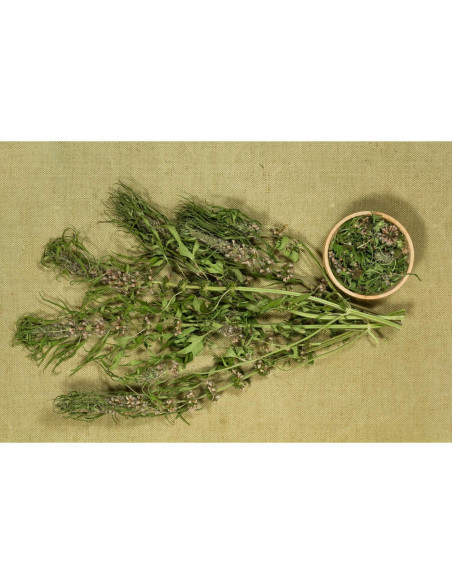 Té Herbal Madrewort Health Embassy 100g - Libre de OGM