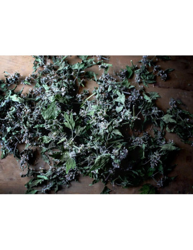 Té Herbal Madrewort Health Embassy 100g - Libre de OGM