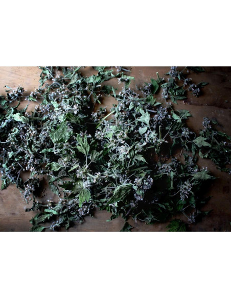 Té Herbal Madrewort Health Embassy 100g - Libre de OGM