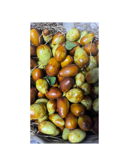 Miel Fresca Jujube 1360g Home - Miel Natural