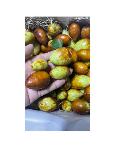 Miel Fresca Jujube 1360g Home - Miel Natural