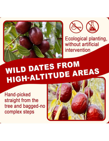 Dátiles Jujube Rojos Sin Azúcar Añadido 250g - Superalimento