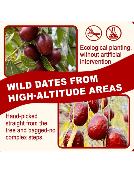 Dátiles Jujube Rojos Sin Azúcar Añadido 250g - Superalimento