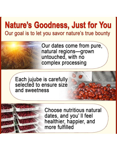 Dátiles Jujube Rojos Sin Azúcar Añadido 250g - Superalimento