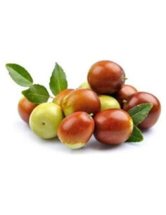Planta de Jujube Orgánica - Fruta Dulce y Crujiente 1.36 kg