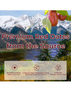 Dátil Jujube Premium SYZJMWDY 400g Sin Hueso Dulce 2