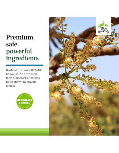 Terry Naturally BosMed 500 - Suplemento de Boswellia Serrata 120 Cápsulas