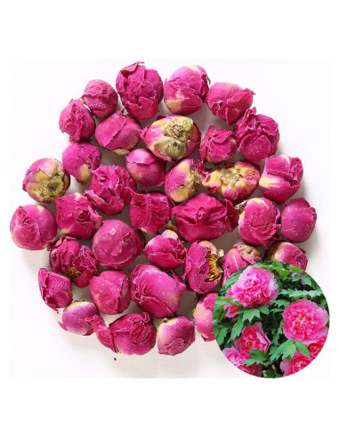 Bola Fragante de Peonía 113.4 g TooGet - Flores Secas Naturales