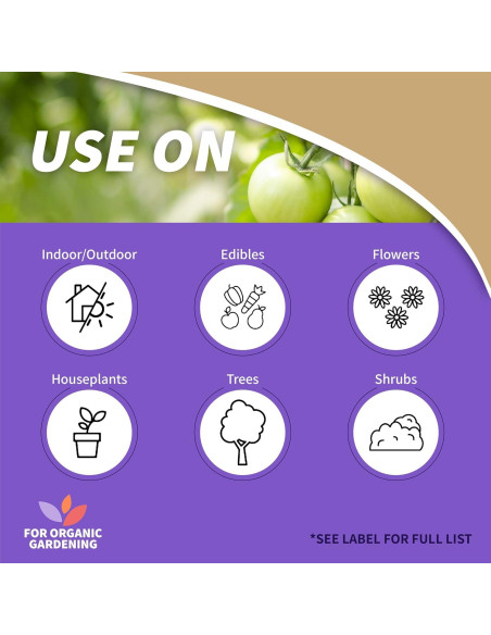 Aceite de Neem Bonide 946 ml - Insecticida y Fungicida Orgánico