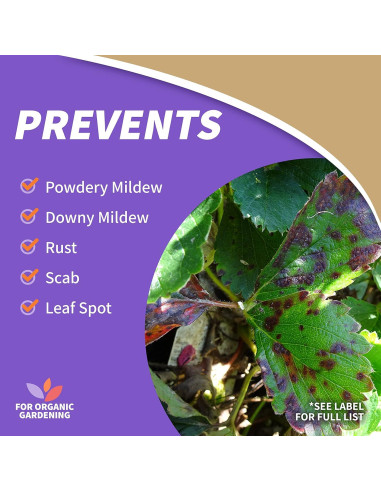 Aceite de Neem Bonide 946 ml - Insecticida y Fungicida Orgánico