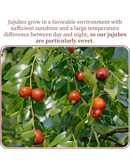 Dátil Rojo Jujube Wanhua Hall 500g Fruta Seca Dulce Natural