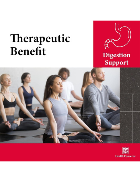 Cápsulas Digestivas Preocupaciones de Salud - 90 Unidades