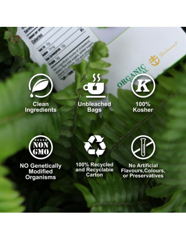 Té de Semilla de Cassia Orgánica Soilmount - 18 Bolsitas