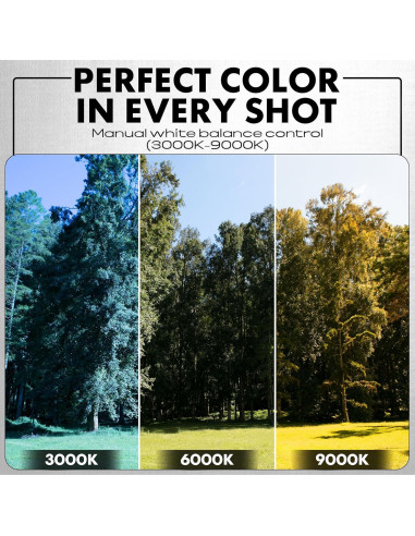 Cámara Minolta 72MP Zoom Óptico 10x Negra MNF10Z-BK