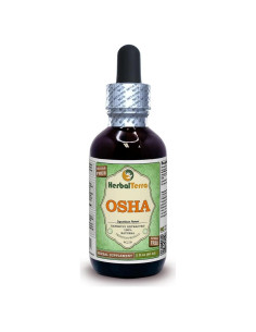 Extracto Líquido de Osha Sin Alcohol Herbal Terra 60 ml