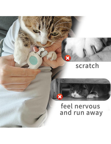 2 Envolturas Autoadhesivas para Gatos Oncpcare 53x53cm Mariposa