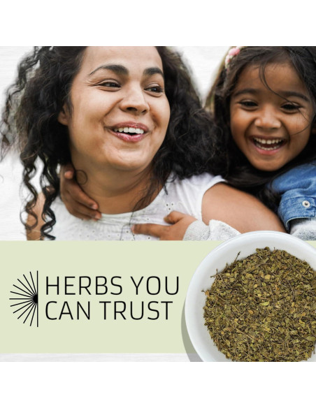 Hierbas Evergreen Chaparral 454g - Larrea Tridentata - Bolsa Reutilizable