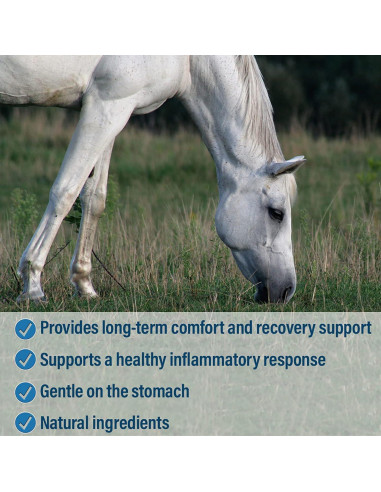 Absorbine Bute-Less Suplemento para Caballos 946ml - Alivio Natural