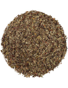 Hoja de Uva Ursi Orgánica Halo Naturals 113g Certificada USDA 2