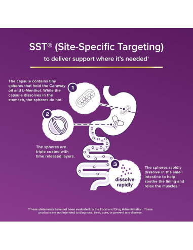 Suplemento Digestivo FDgard 36 Cápsulas - Alivio Indigestión