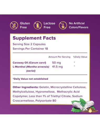Suplemento Digestivo FDgard 36 Cápsulas - Alivio Indigestión