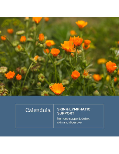 Cápsulas de Caléndula Ecléctica 90 CT - Suplemento Herbal Vegano