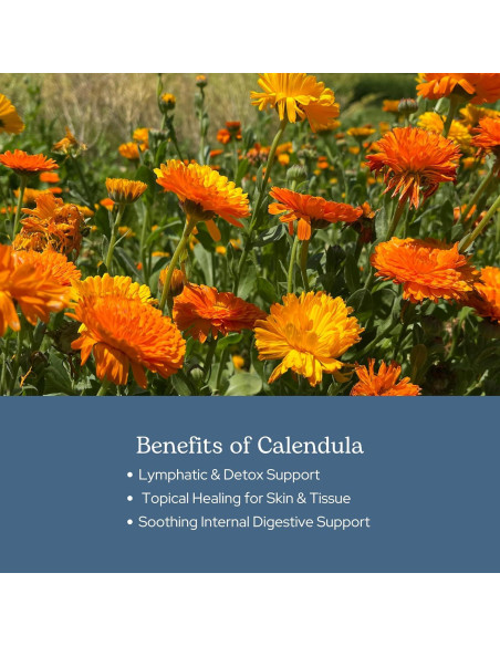Cápsulas de Caléndula Ecléctica 90 CT - Suplemento Herbal Vegano
