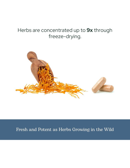 Cápsulas de Caléndula Ecléctica 90 CT - Suplemento Herbal Vegano