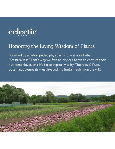 Cápsulas de Caléndula Ecléctica 90 CT - Suplemento Herbal Vegano