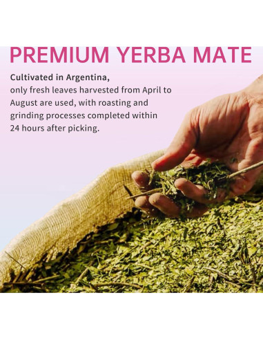 Cápsulas de Yerba Mate Zooone - Suplemento Energético 120 Unidades