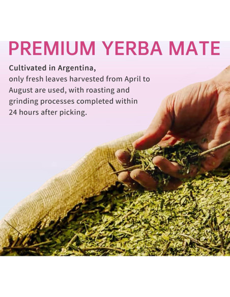 Cápsulas de Yerba Mate Zooone - Suplemento Energético 120 Unidades