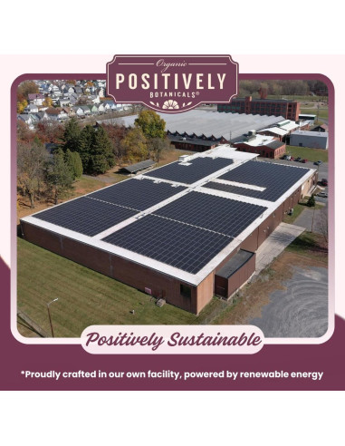 Té Herbal Hoja de Ortiga Orgánico 20 Bolsitas Botánicos