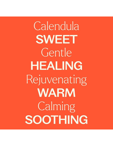 Agua Floral de Caléndula Plant Therapy 118 ml - Hidrosol Orgánico