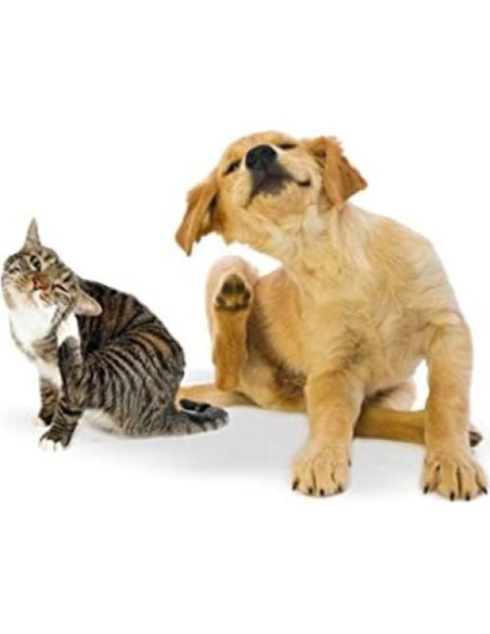 Suplemento Inmunológico para Perros y Gatos - Alivio Alergias - 2 Botellas (300 Masticables)