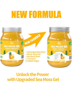 Gel de Musgo Marino Irlandés OALSE 425g Mango Piña Vegano 2
