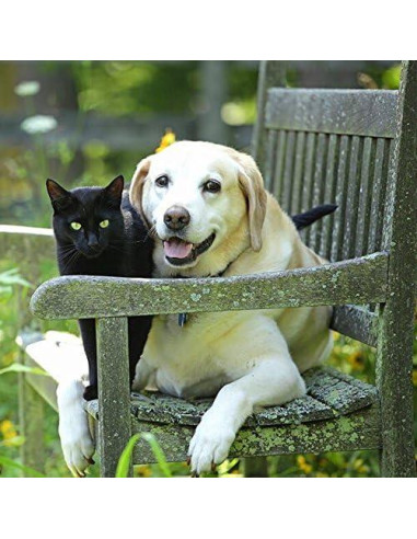 Suplemento Inmunológico para Perros y Gatos - Alivio Alergias - 2 Botellas (300 Masticables)