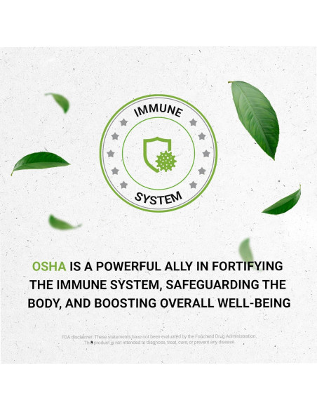 Extracto Líquido Sin Alcohol OSHA 118.29 ML - Secretos de la Tribu