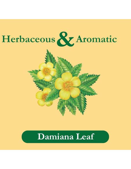 Té de Hierbas Sin Cafeína Tadin Damiana 144 Bolsitas