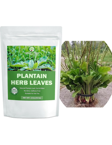 Té de Hoja de Plátano Seco 100% Natural HOLFLYING 56g